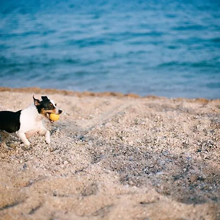 Senia Caballo De Mar Parque de Campismo Pineda de Mar