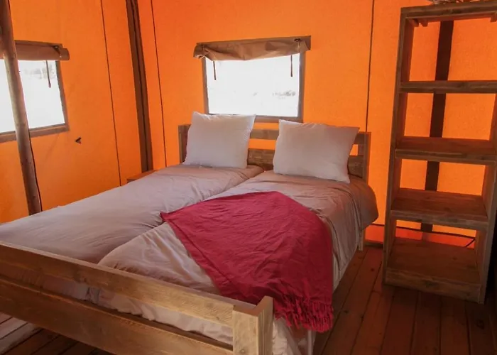 Senia Caballo De Mar Campingplads