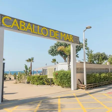Senia Caballo De Mar 2*