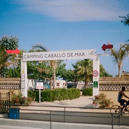 Senia Caballo De Mar Campsite 2*