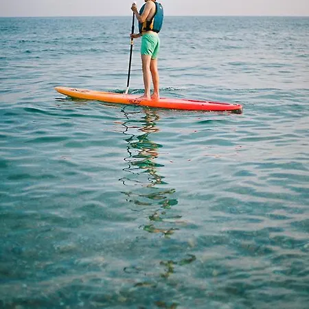 Senia Caballo De Mar