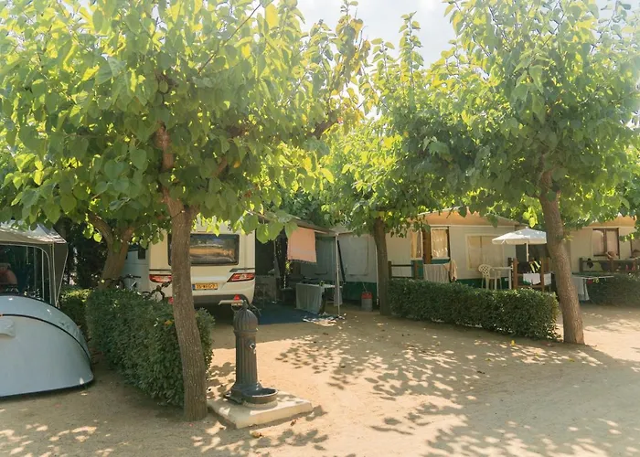 Senia Caballo De Mar Campsite Pineda de Mar